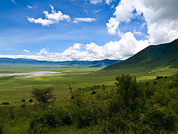 Cráter del Ngorongoro (Tanzania). Crédito: Wikipedia Commons