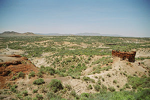Garganta de Olduvai en Tanzania. Crédito wikipedia