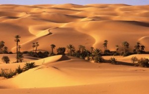 Desierto del Sáhara Crédito: canarias7
