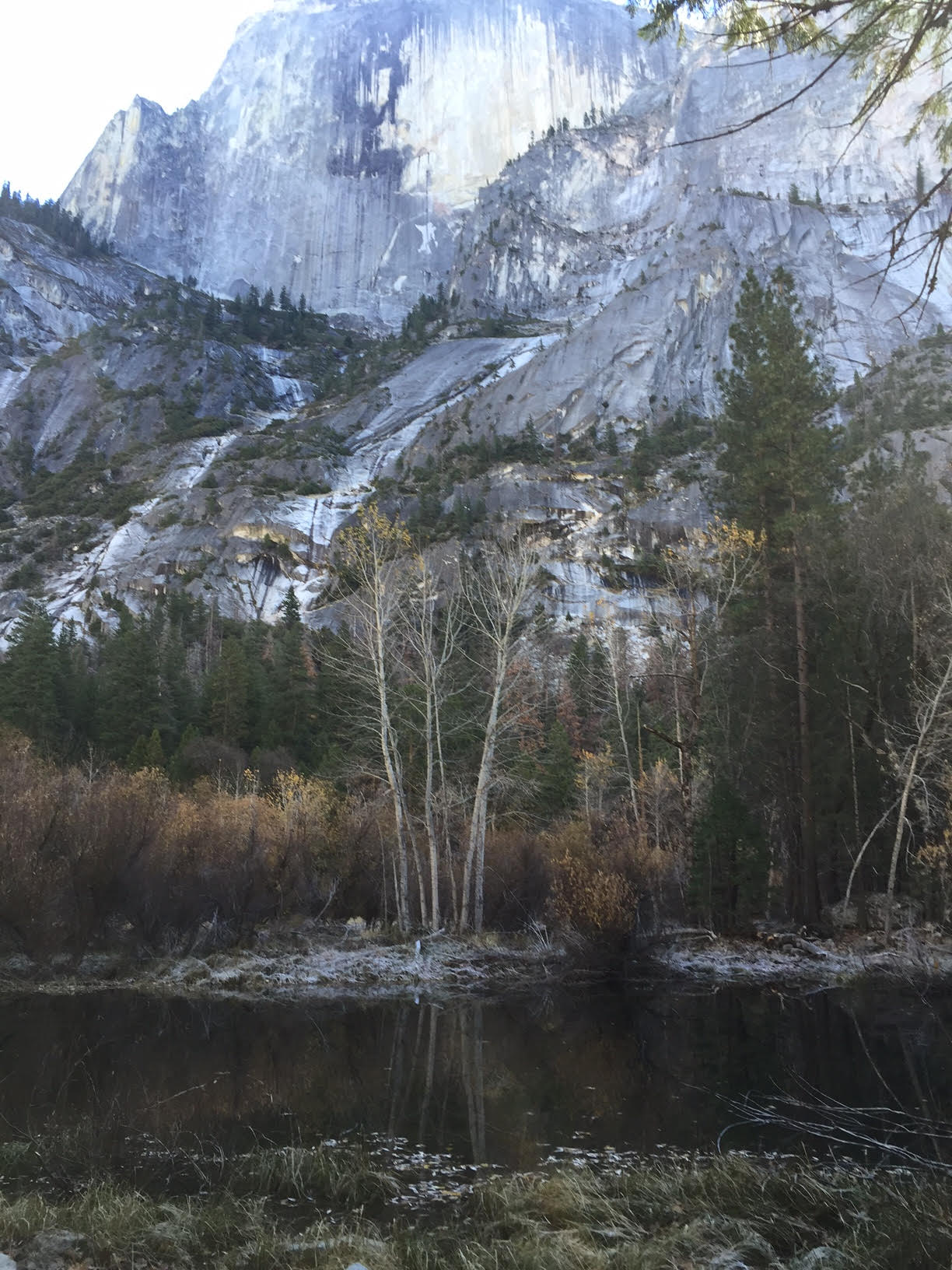 Yosemite Natural Park