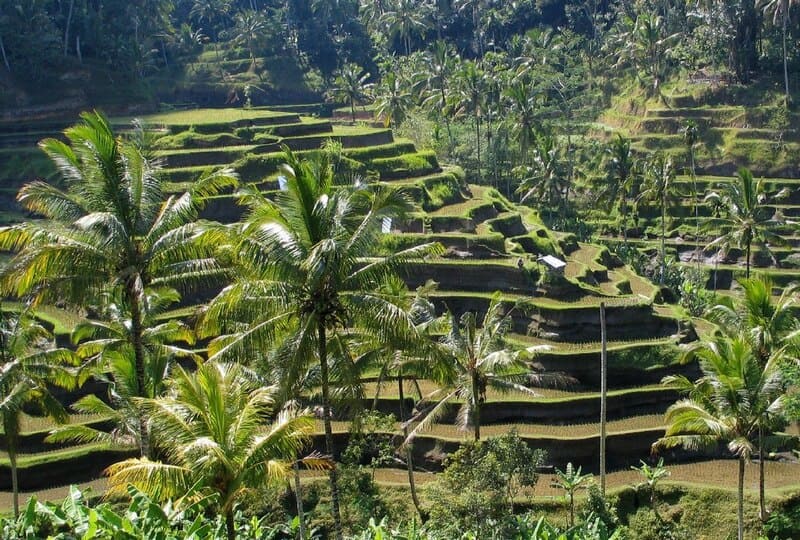 Vacaciones perfectas en Bali
