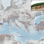 Herramientas encontradas en Ucrania pueden ser evidencia de los primeros humanos en Europa