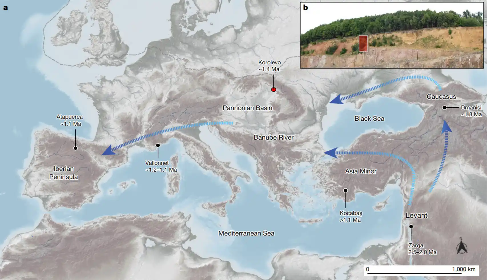 Evidencia de los primeros humanos en Europa encontrada en Ucrania