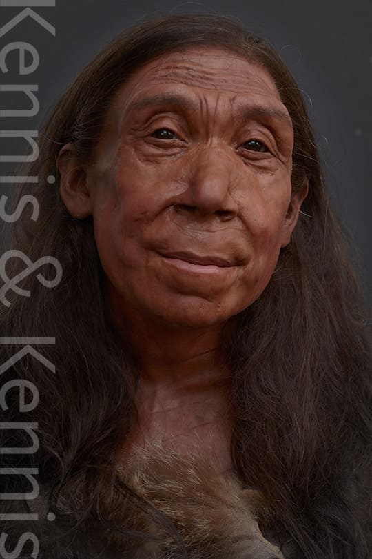 El papel del arte en la reconstrucción de un rostro neandertal