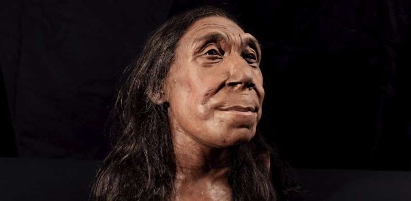 Reconstrucción de un rostro neandertal: Shanidar Z