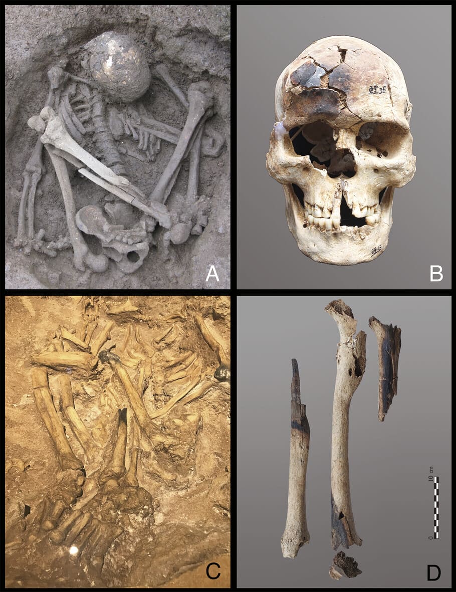 Restos de las excavaciones
