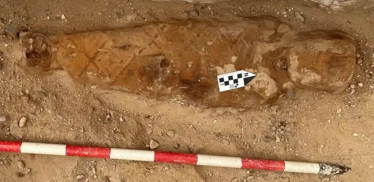Encuentran fragmento de la Ilíada en momia de Oxirrinco