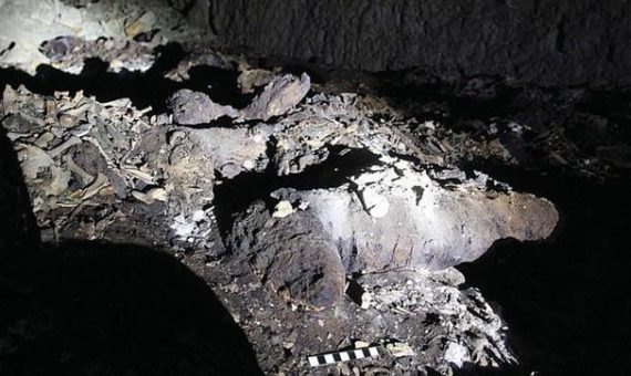 Los restos de una momia canina completa en una sección la catacumba