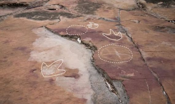 Arte rupestre en Brasil inspirado en huellas de dinosaurios